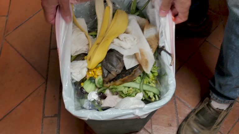 Best Hoarding Cleanup  in Inwood, NY